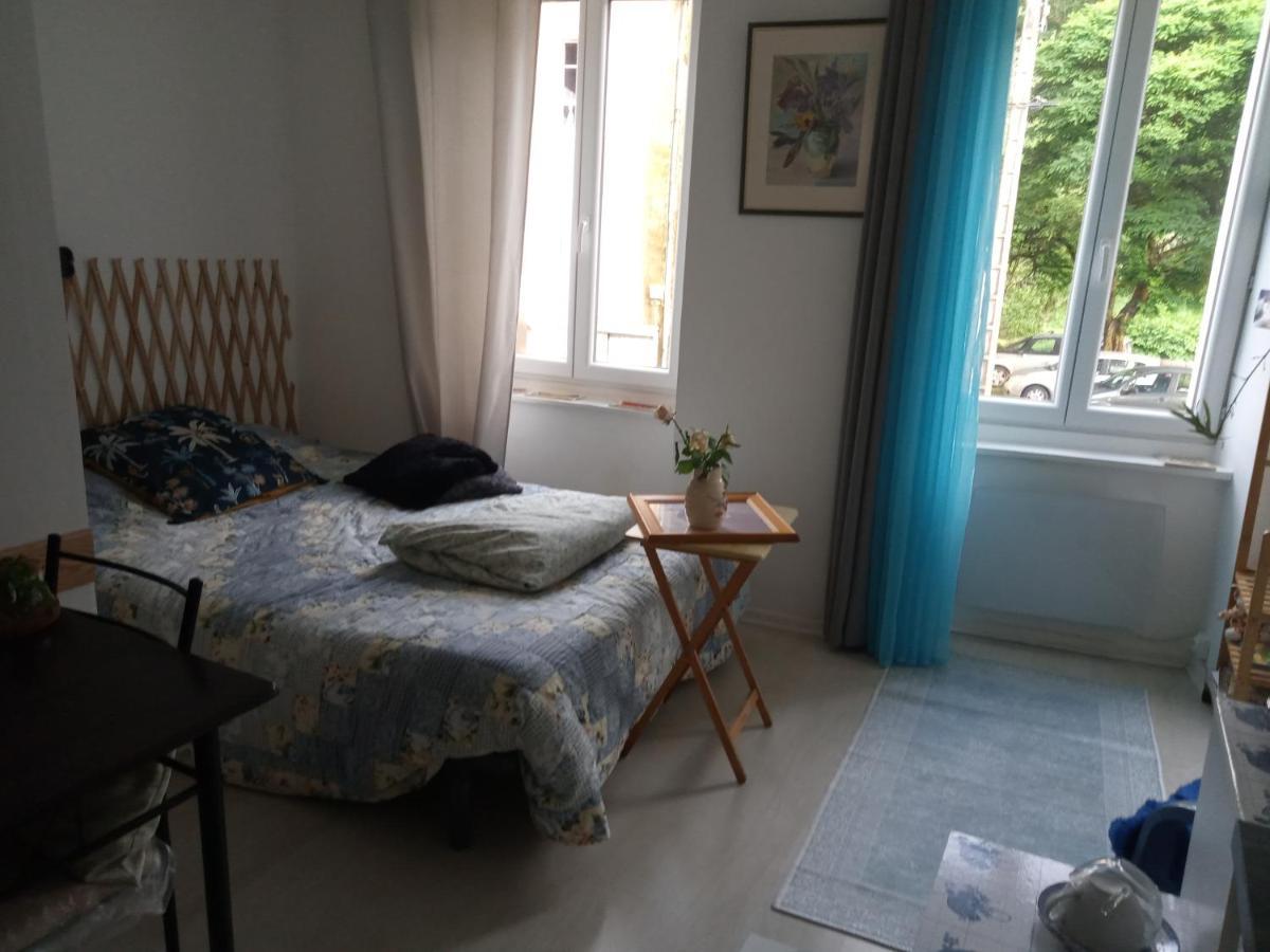 Tiny Studio Ariege Pyrenees Castelnau-Durban المظهر الخارجي الصورة