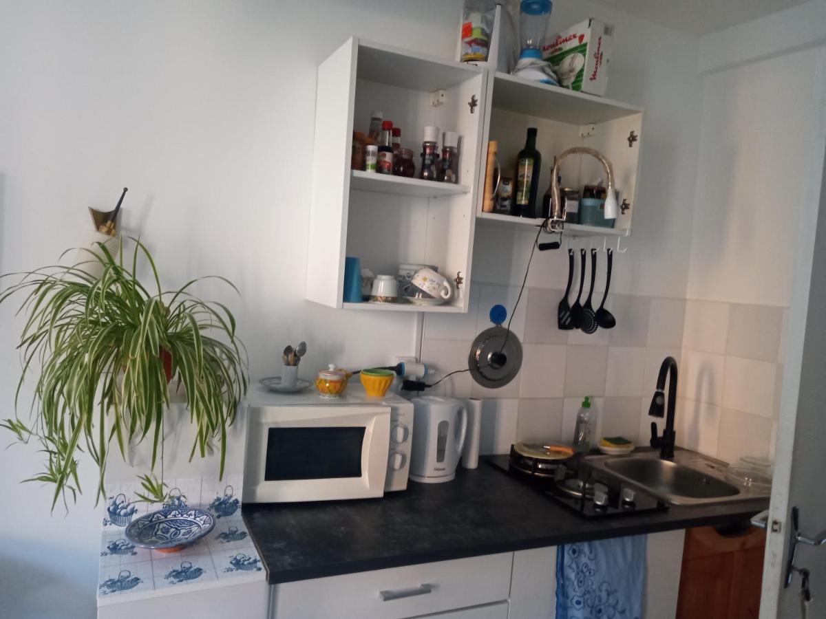 Tiny Studio Ariege Pyrenees Castelnau-Durban المظهر الخارجي الصورة